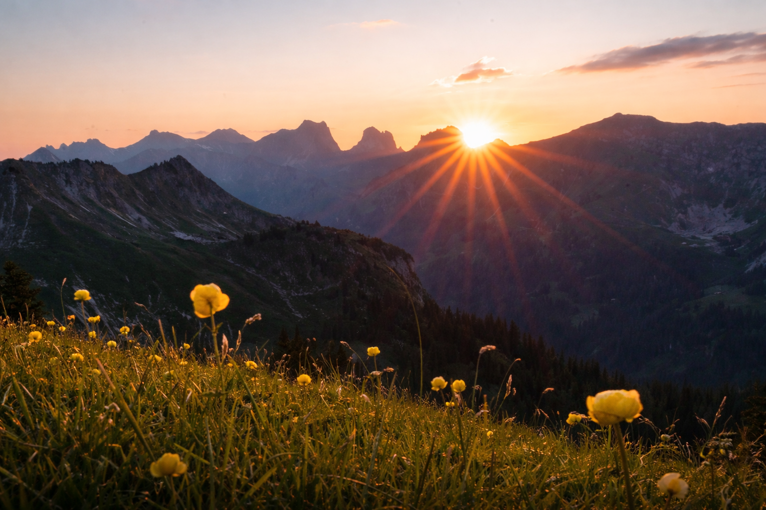 Солнце в горах и цветочное поле